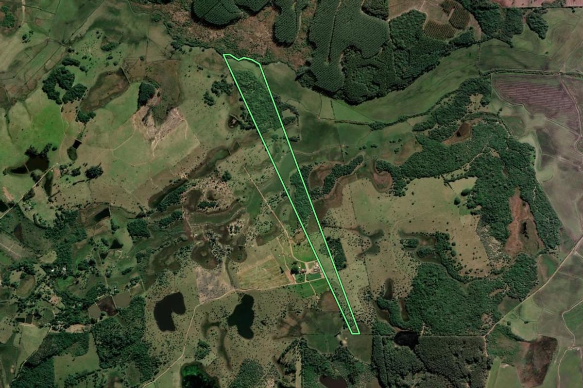 Imagem de satélite do imóvel rural em Tapes (RS), com o contorno declarado no CAR desenhado por cima.
