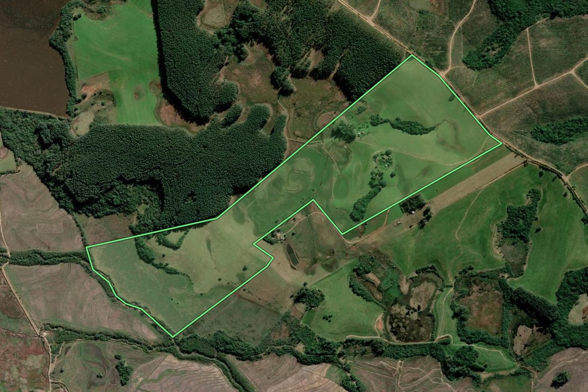 Imagem de satélite do imóvel rural em Tapes (RS), com o contorno declarado no CAR desenhado por cima.