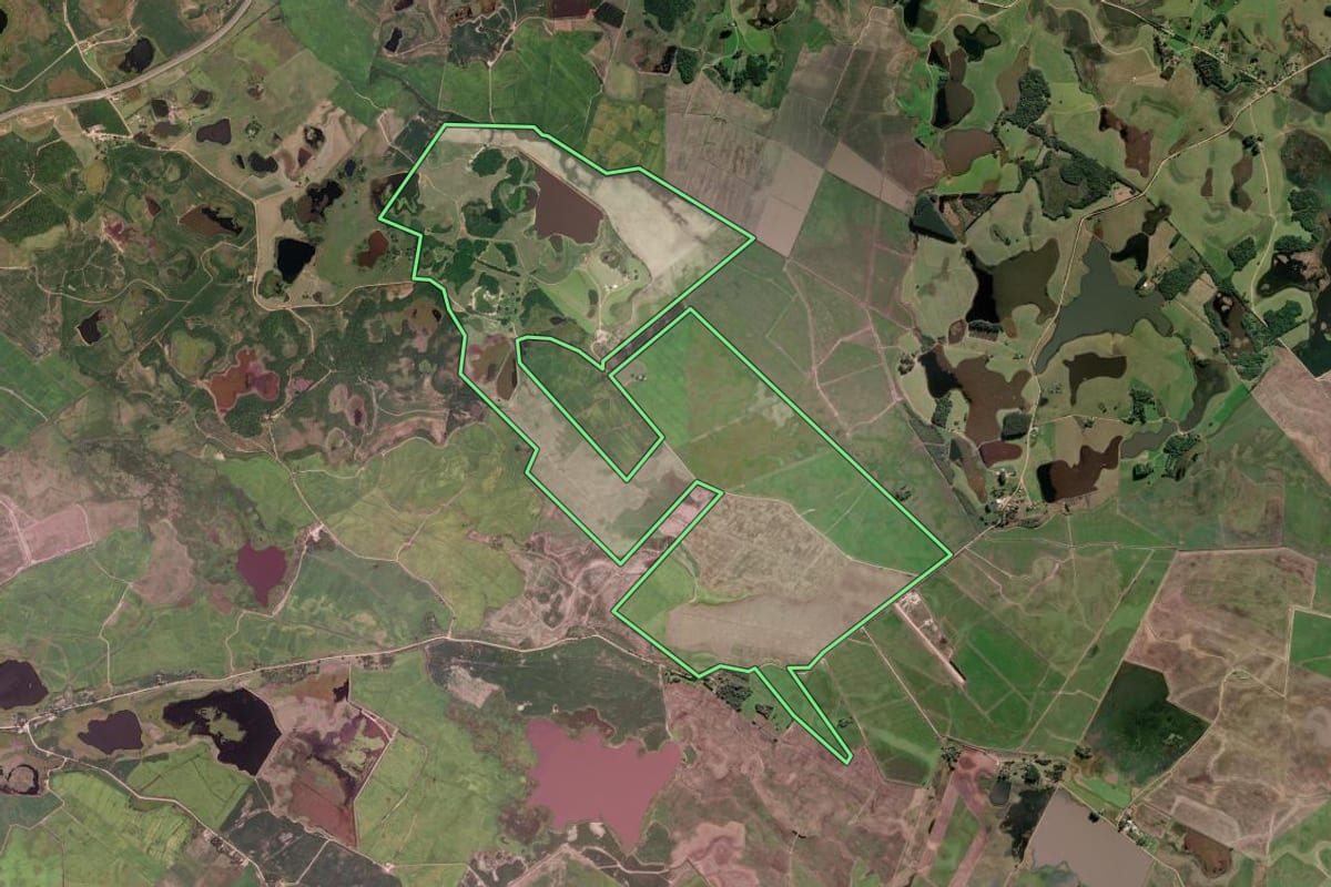 Imagem de satélite do imóvel rural em Tapes (RS), com o contorno declarado no CAR desenhado por cima.
