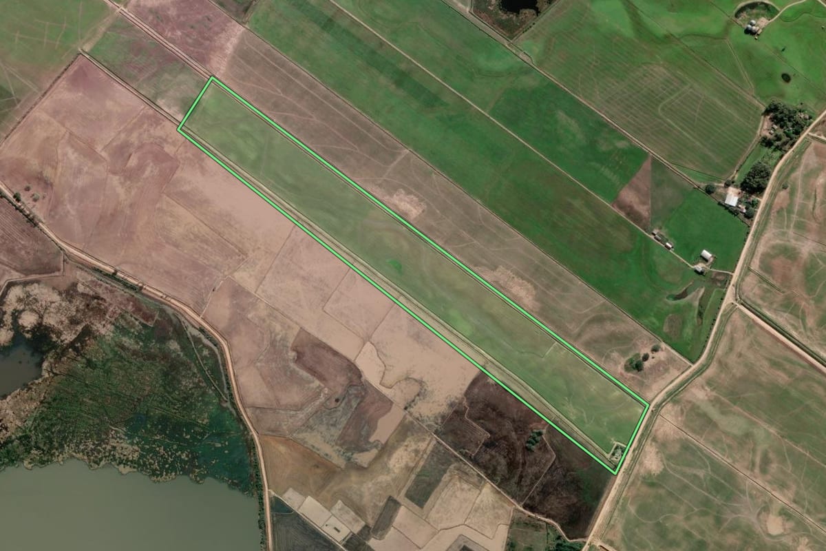 Imagem de satélite do imóvel rural em Tapes (RS), com o contorno declarado no CAR desenhado por cima.