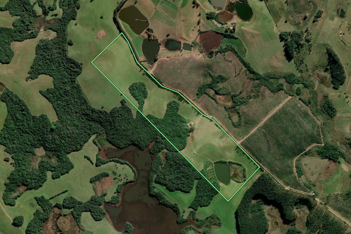 Imagem de satélite do imóvel rural em Tapes (RS), com o contorno declarado no CAR desenhado por cima.
