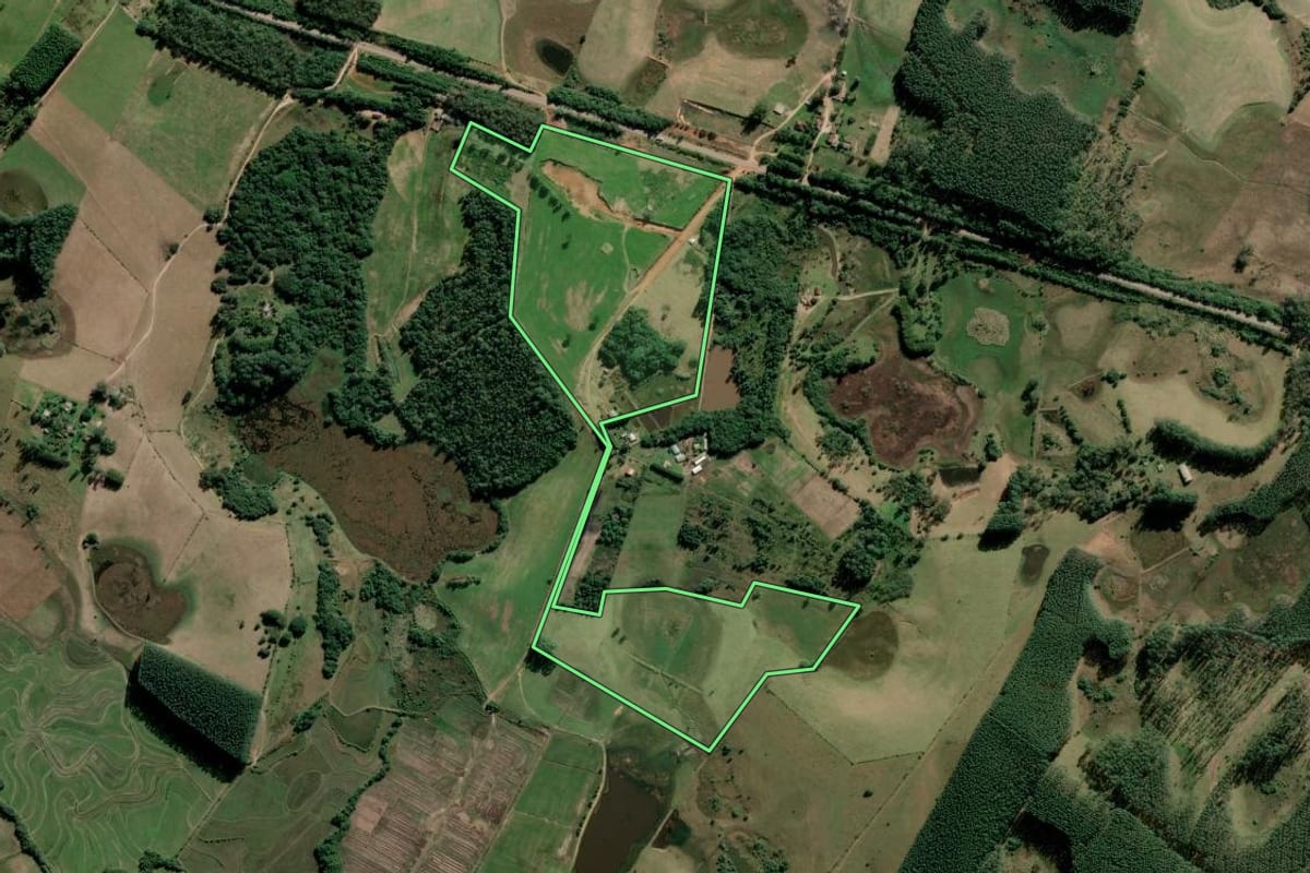 Imagem de satélite do imóvel rural em Tapes (RS), com o contorno declarado no CAR desenhado por cima.