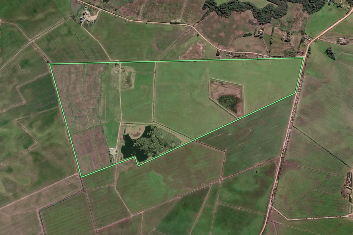 Imagem de satélite do imóvel rural em Tapes (RS), com o contorno declarado no CAR desenhado por cima.