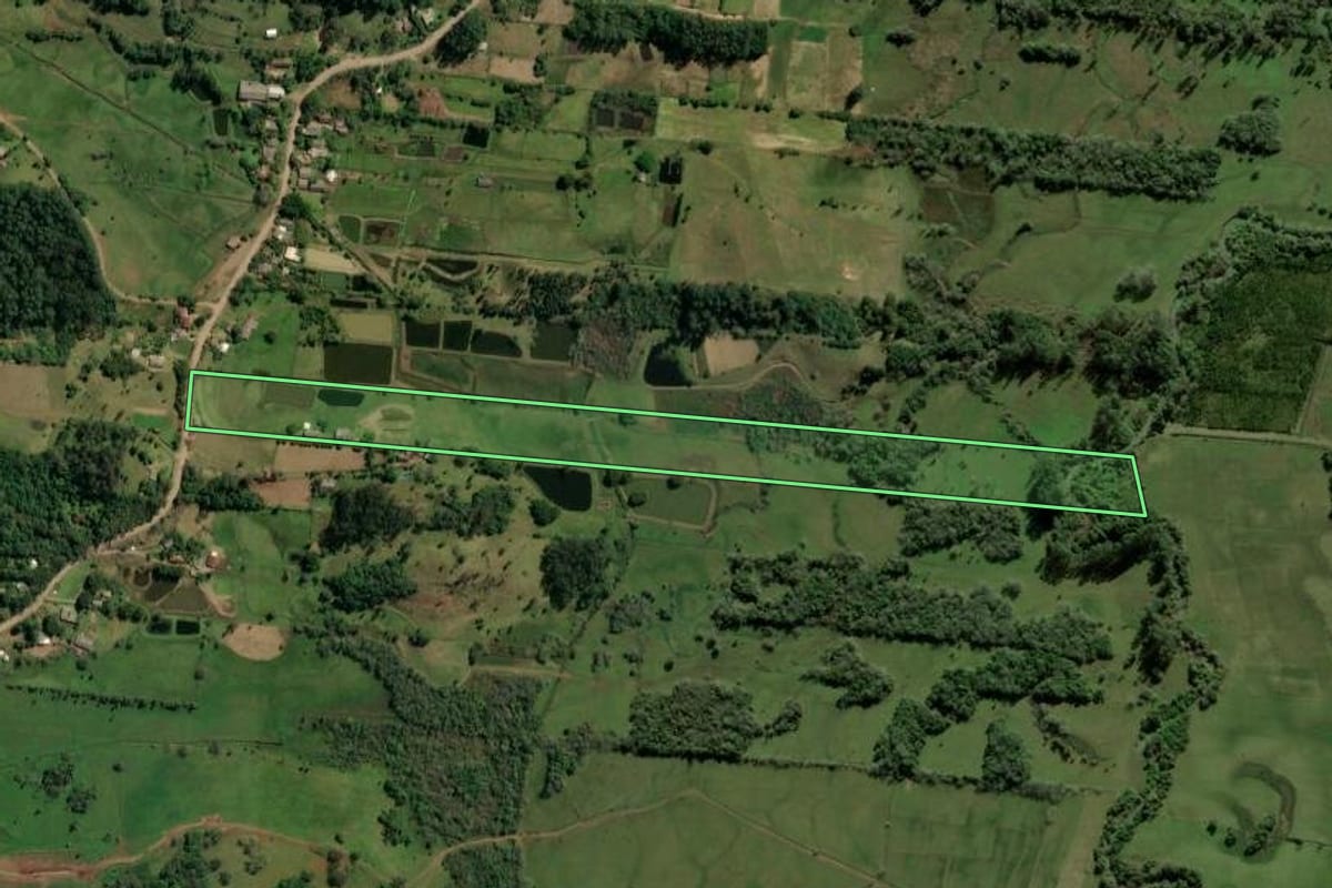 Imagem de satélite do imóvel rural em Taquara (RS), com o contorno declarado no CAR desenhado por cima.