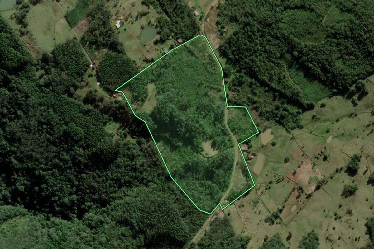 Imagem de satélite do imóvel rural em Taquara (RS), com o contorno declarado no CAR desenhado por cima.