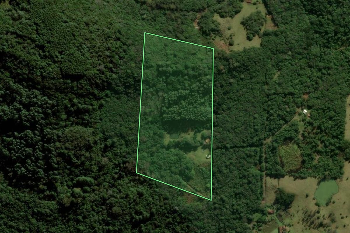 Imagem de satélite do imóvel rural em Taquara (RS), com o contorno declarado no CAR desenhado por cima.