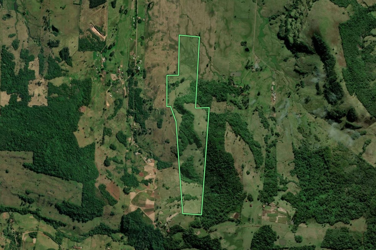 Imagem de satélite do imóvel rural em Taquara (RS), com o contorno declarado no CAR desenhado por cima.