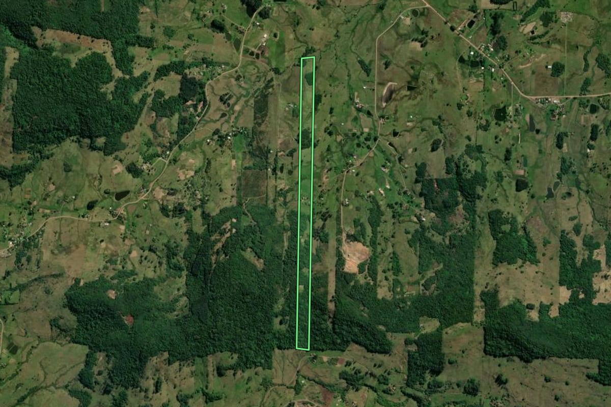 Imagem de satélite do imóvel rural em Taquara (RS), com o contorno declarado no CAR desenhado por cima.