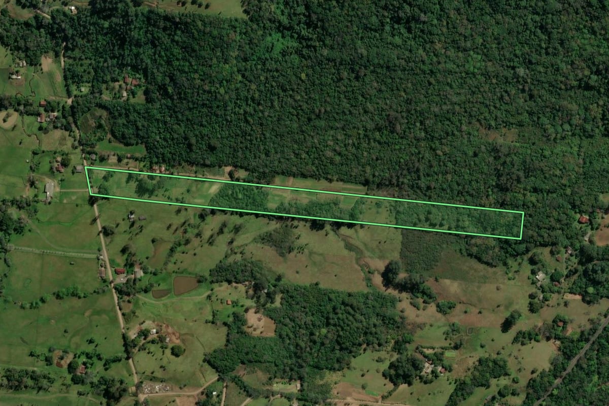 Imagem de satélite do imóvel rural em Taquara (RS), com o contorno declarado no CAR desenhado por cima.