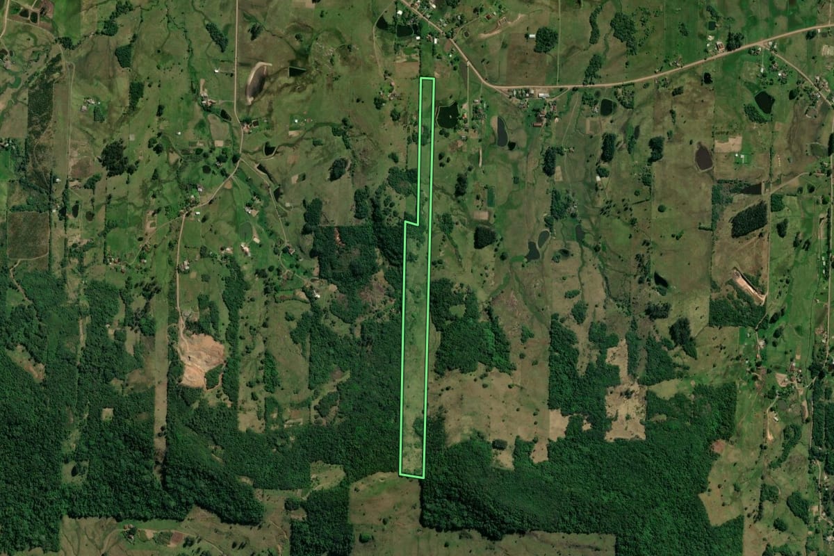 Imagem de satélite do imóvel rural em Taquara (RS), com o contorno declarado no CAR desenhado por cima.