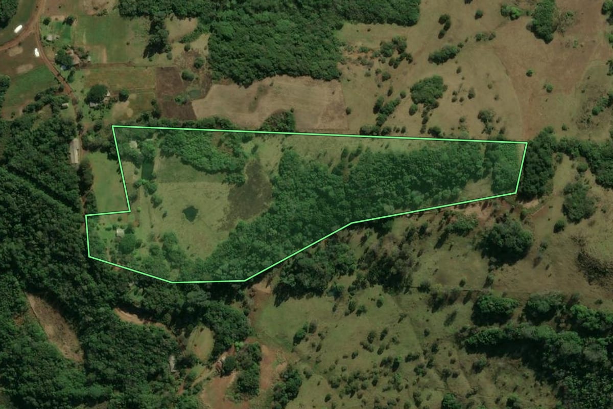 Imagem de satélite do imóvel rural em Taquara (RS), com o contorno declarado no CAR desenhado por cima.