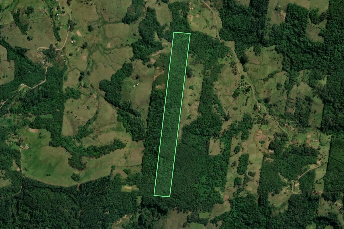 Imagem de satélite do imóvel rural em Taquara (RS), com o contorno declarado no CAR desenhado por cima.