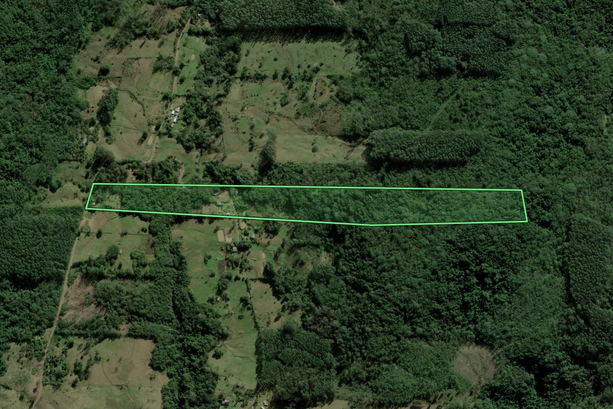 Imagem de satélite do imóvel rural em Taquara (RS), com o contorno declarado no CAR desenhado por cima.
