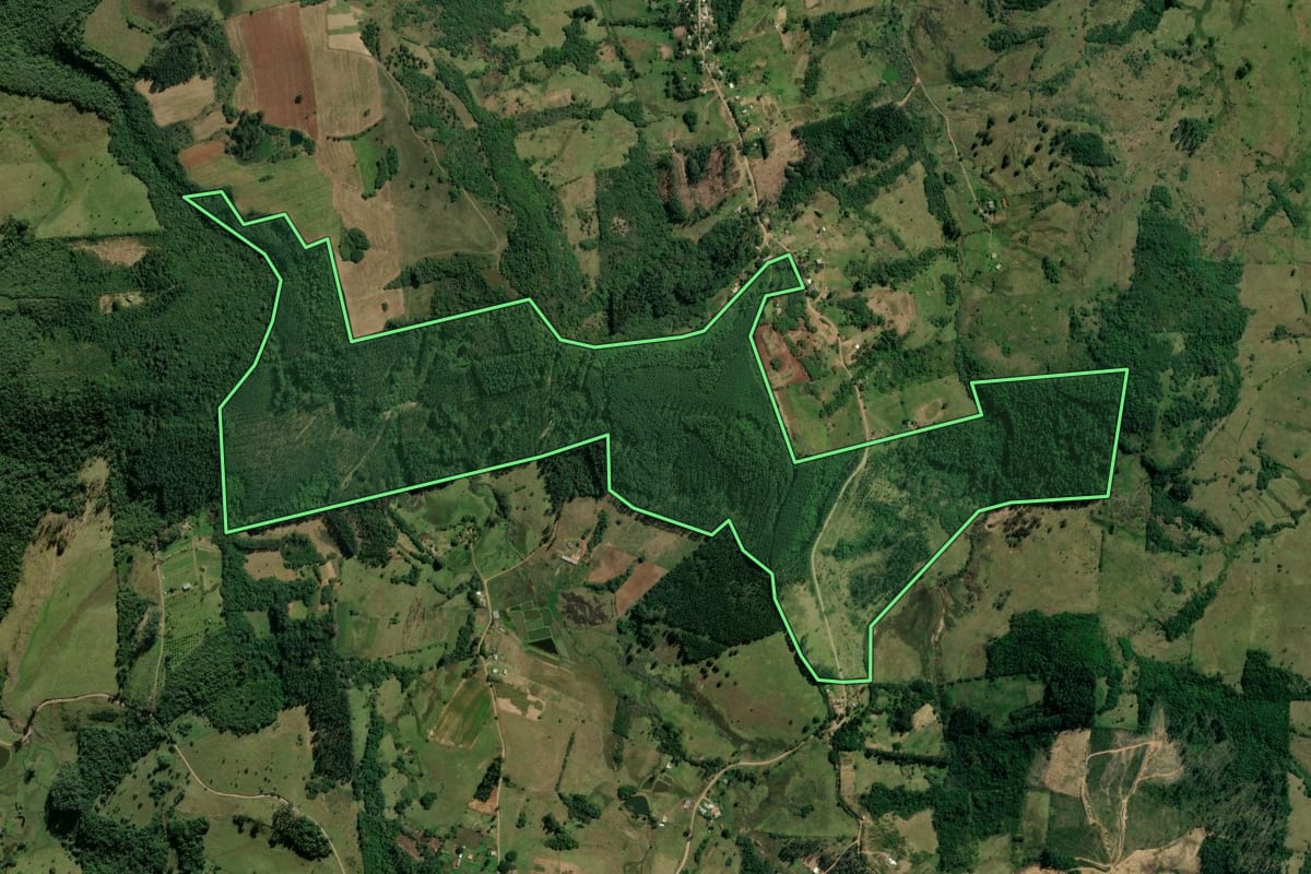 Imagem de satélite do imóvel rural em Taquara (RS), com o contorno declarado no CAR desenhado por cima.