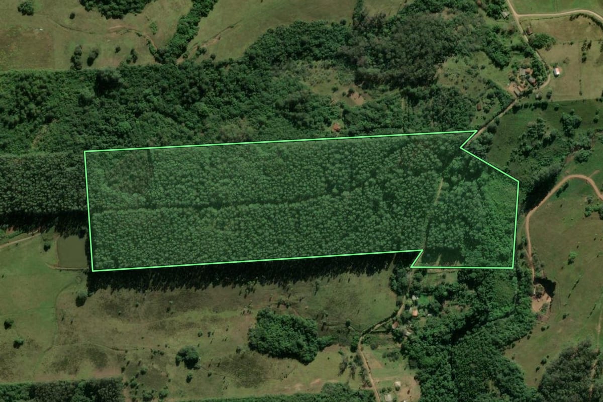 Imagem de satélite do imóvel rural em Taquara (RS), com o contorno declarado no CAR desenhado por cima.