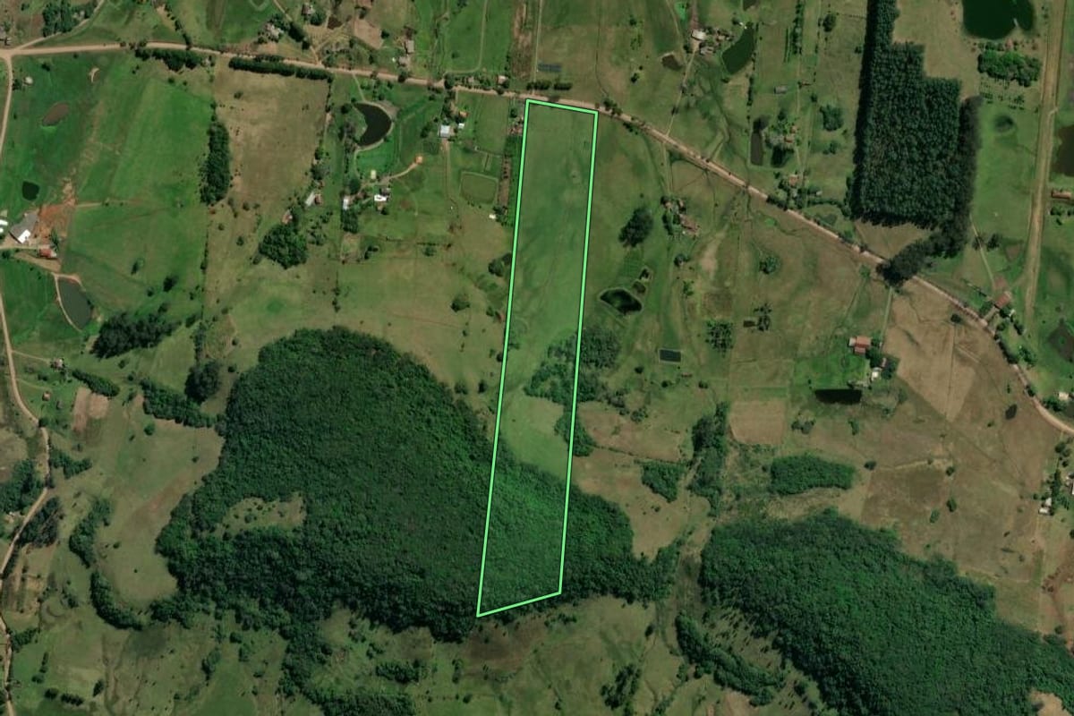 Imagem de satélite do imóvel rural em Taquara (RS), com o contorno declarado no CAR desenhado por cima.