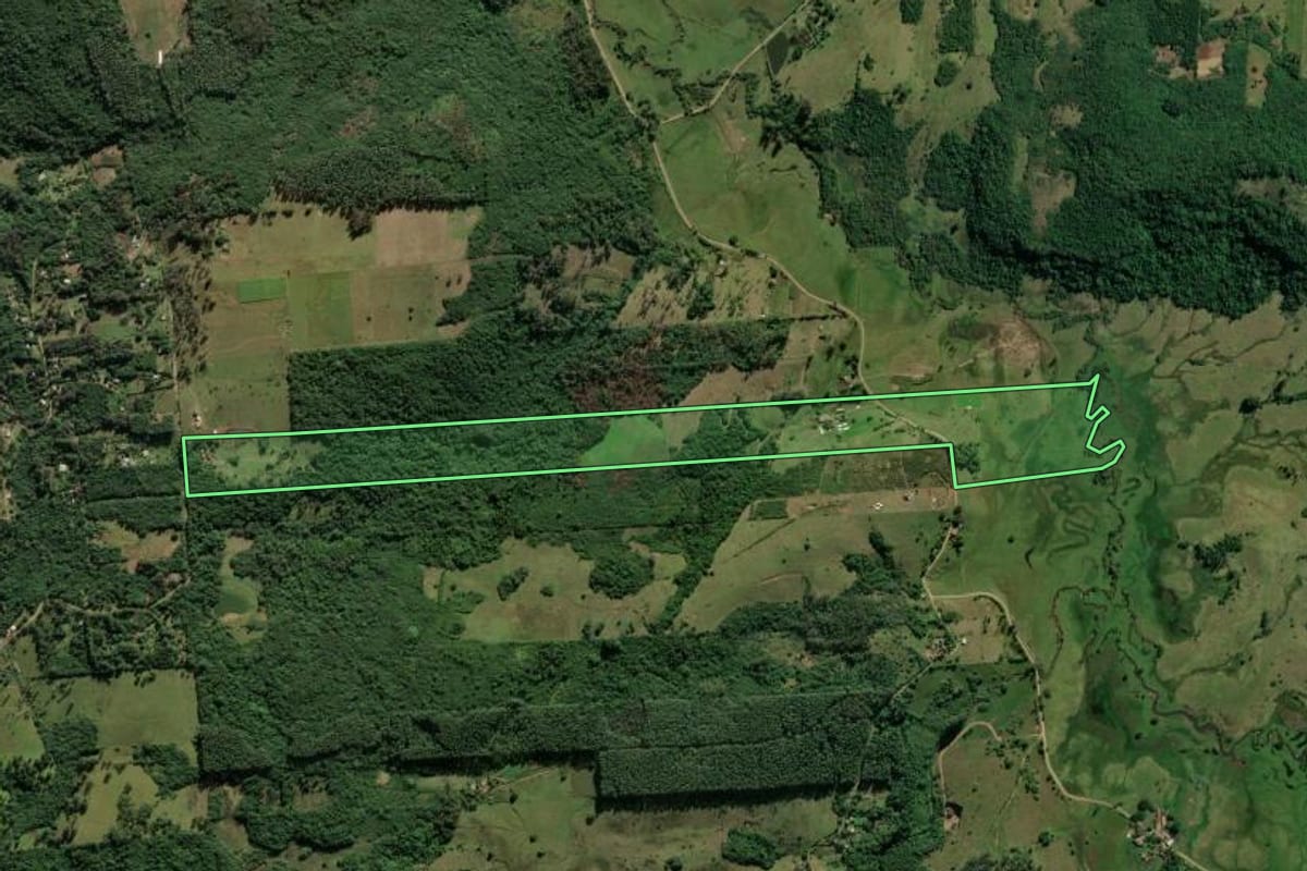 Imagem de satélite do imóvel rural em Taquara (RS), com o contorno declarado no CAR desenhado por cima.