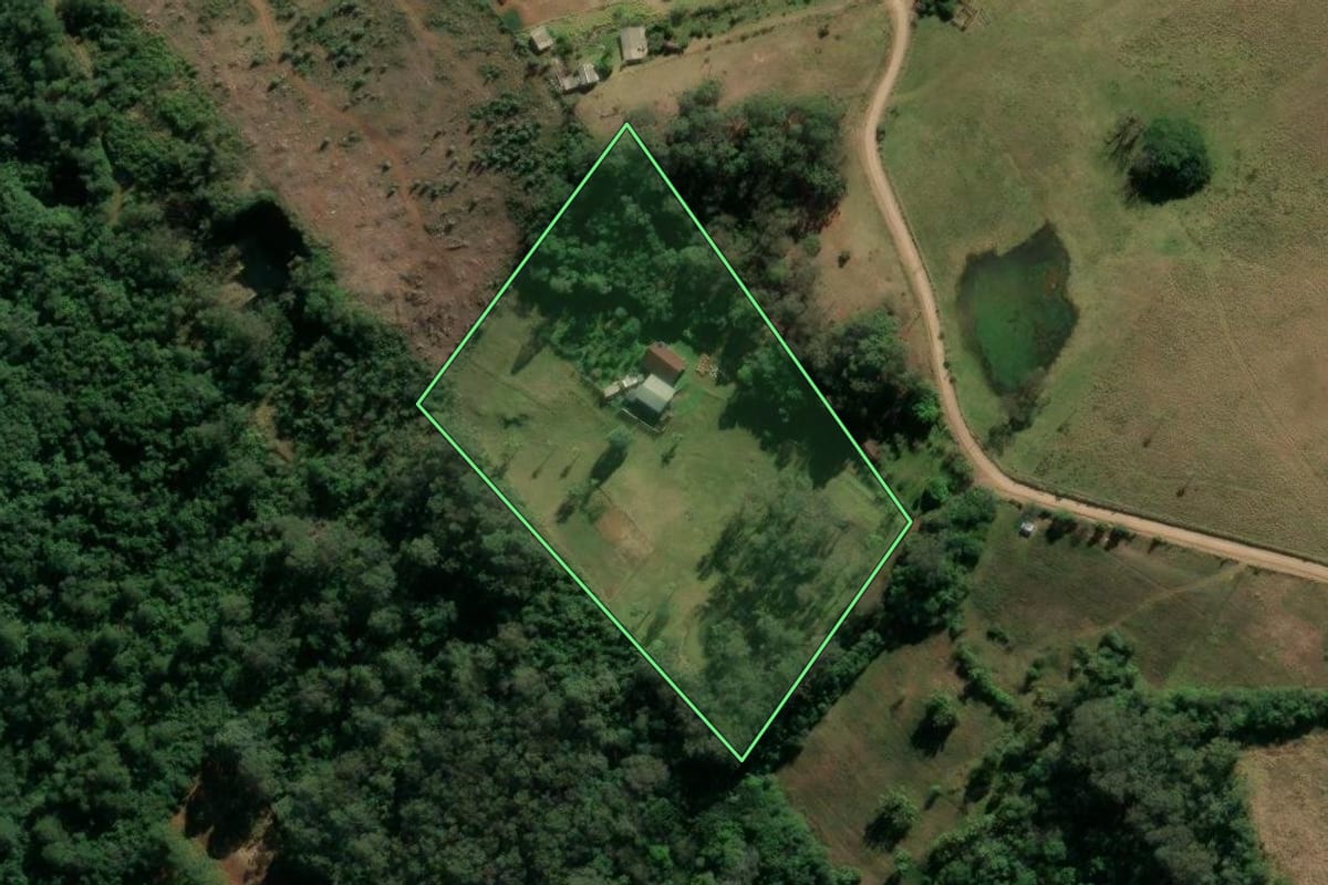 Imagem de satélite do imóvel rural em Taquara (RS), com o contorno declarado no CAR desenhado por cima.