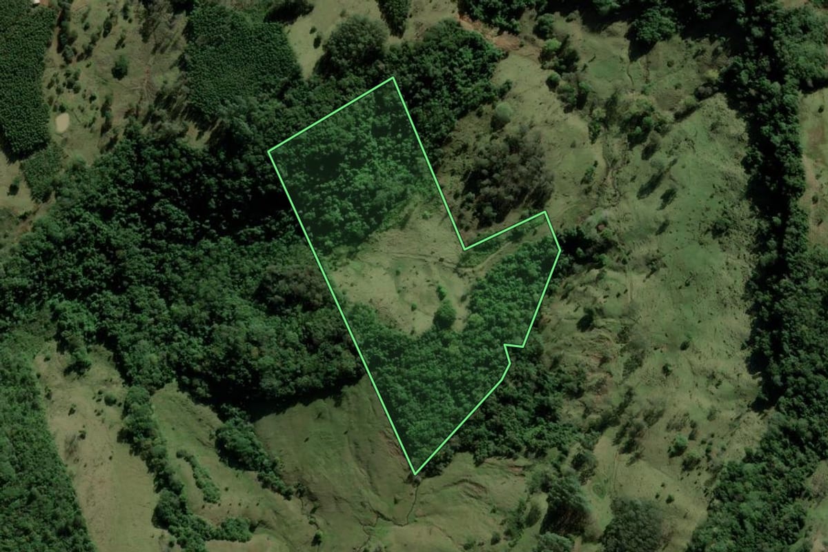 Imagem de satélite do imóvel rural em Taquara (RS), com o contorno declarado no CAR desenhado por cima.