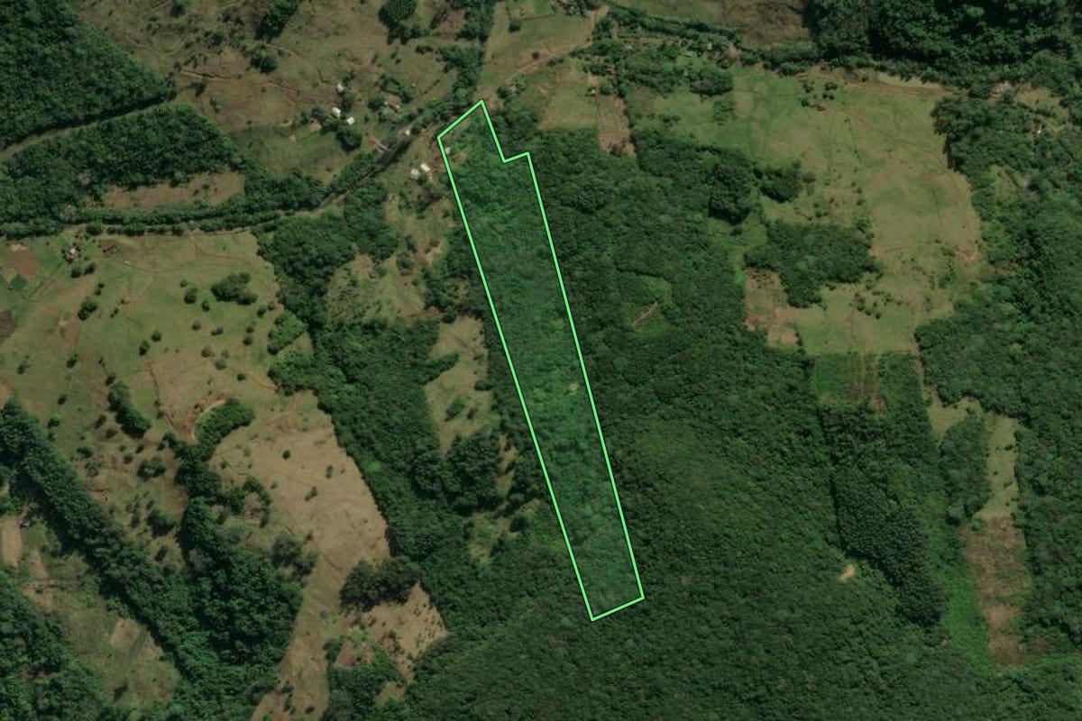 Imagem de satélite do imóvel rural em Taquara (RS), com o contorno declarado no CAR desenhado por cima.