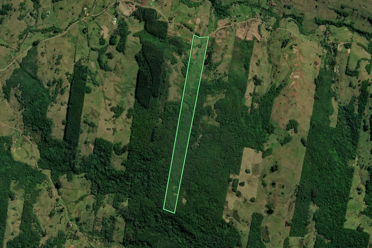 Imagem de satélite do imóvel rural em Taquara (RS), com o contorno declarado no CAR desenhado por cima.