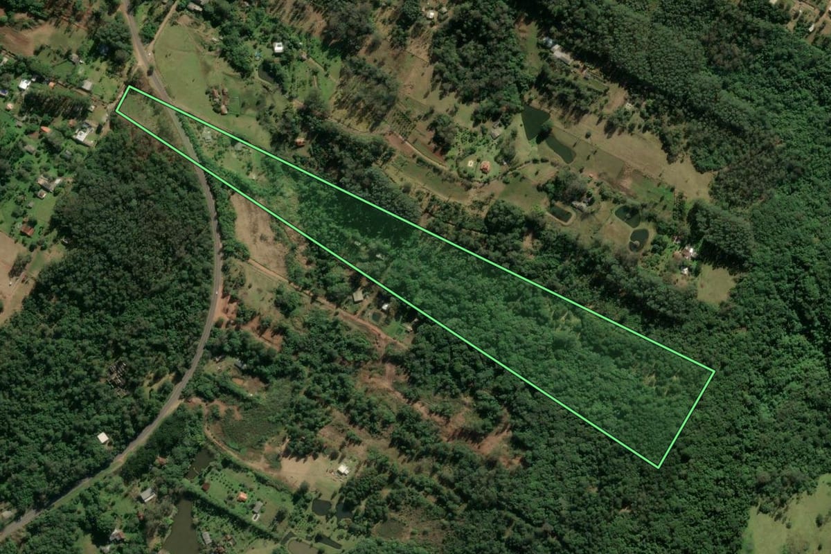 Imagem de satélite do imóvel rural em Taquara (RS), com o contorno declarado no CAR desenhado por cima.