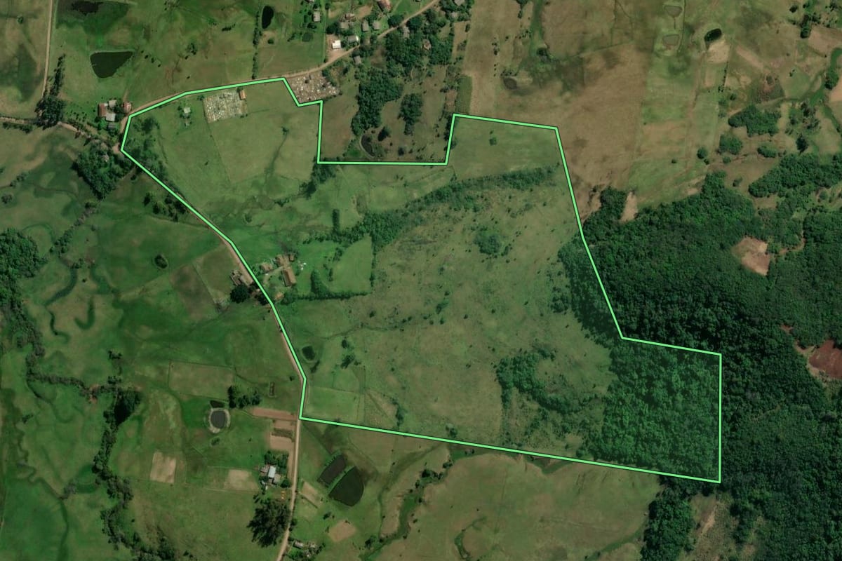 Imagem de satélite do imóvel rural em Taquara (RS), com o contorno declarado no CAR desenhado por cima.