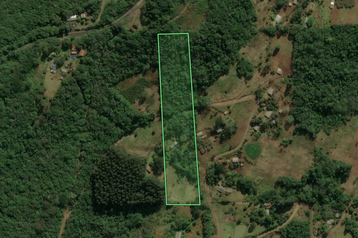 Imagem de satélite do imóvel rural em Taquara (RS), com o contorno declarado no CAR desenhado por cima.