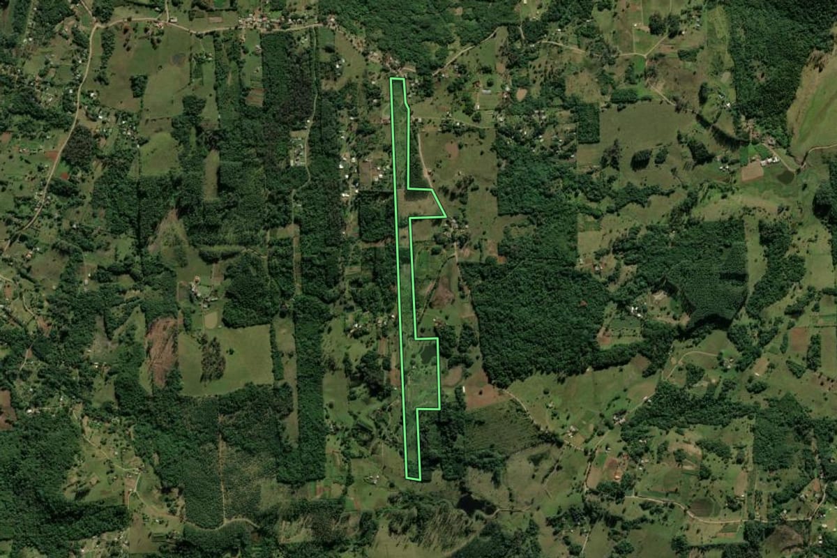 Imagem de satélite do imóvel rural em Taquara (RS), com o contorno declarado no CAR desenhado por cima.