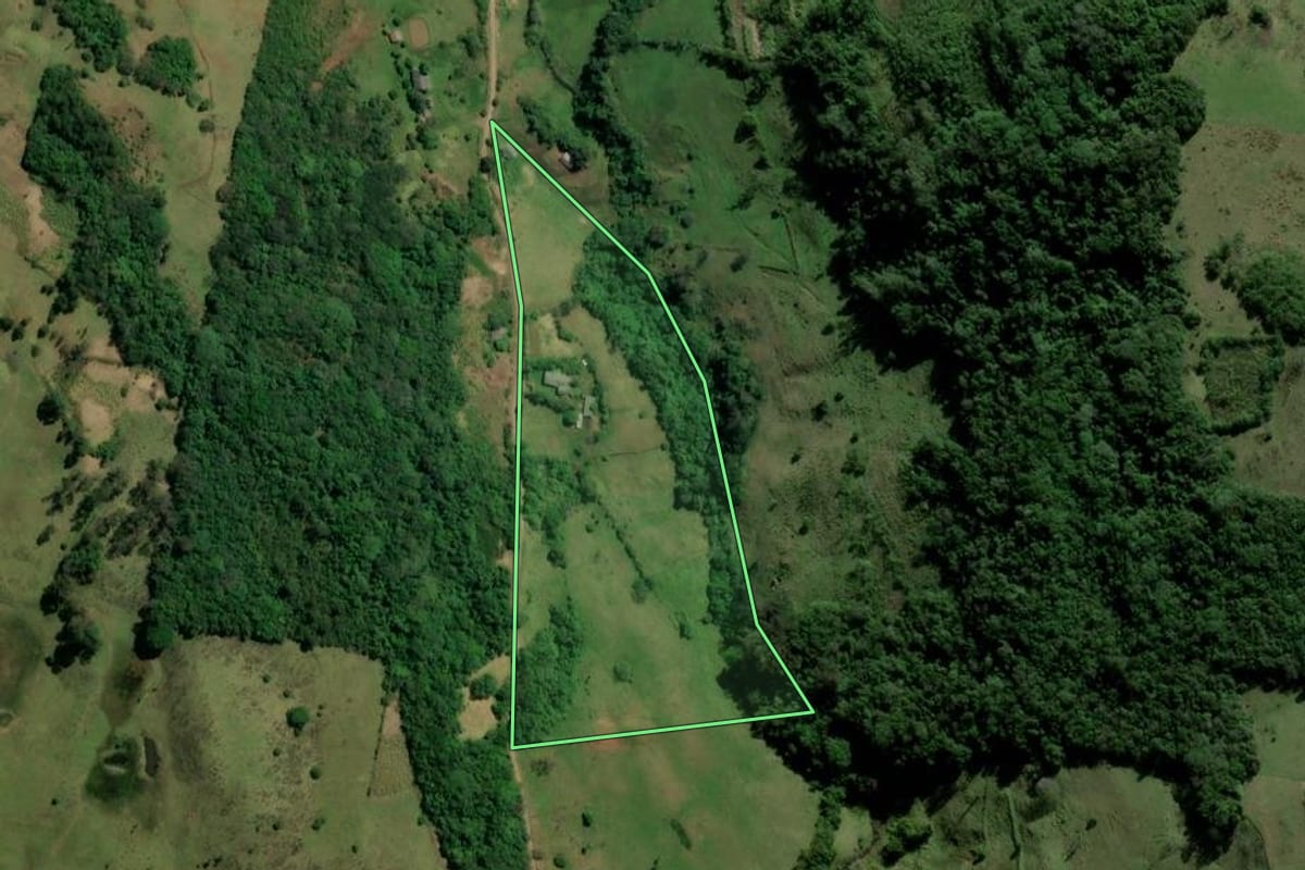 Imagem de satélite do imóvel rural em Taquara (RS), com o contorno declarado no CAR desenhado por cima.