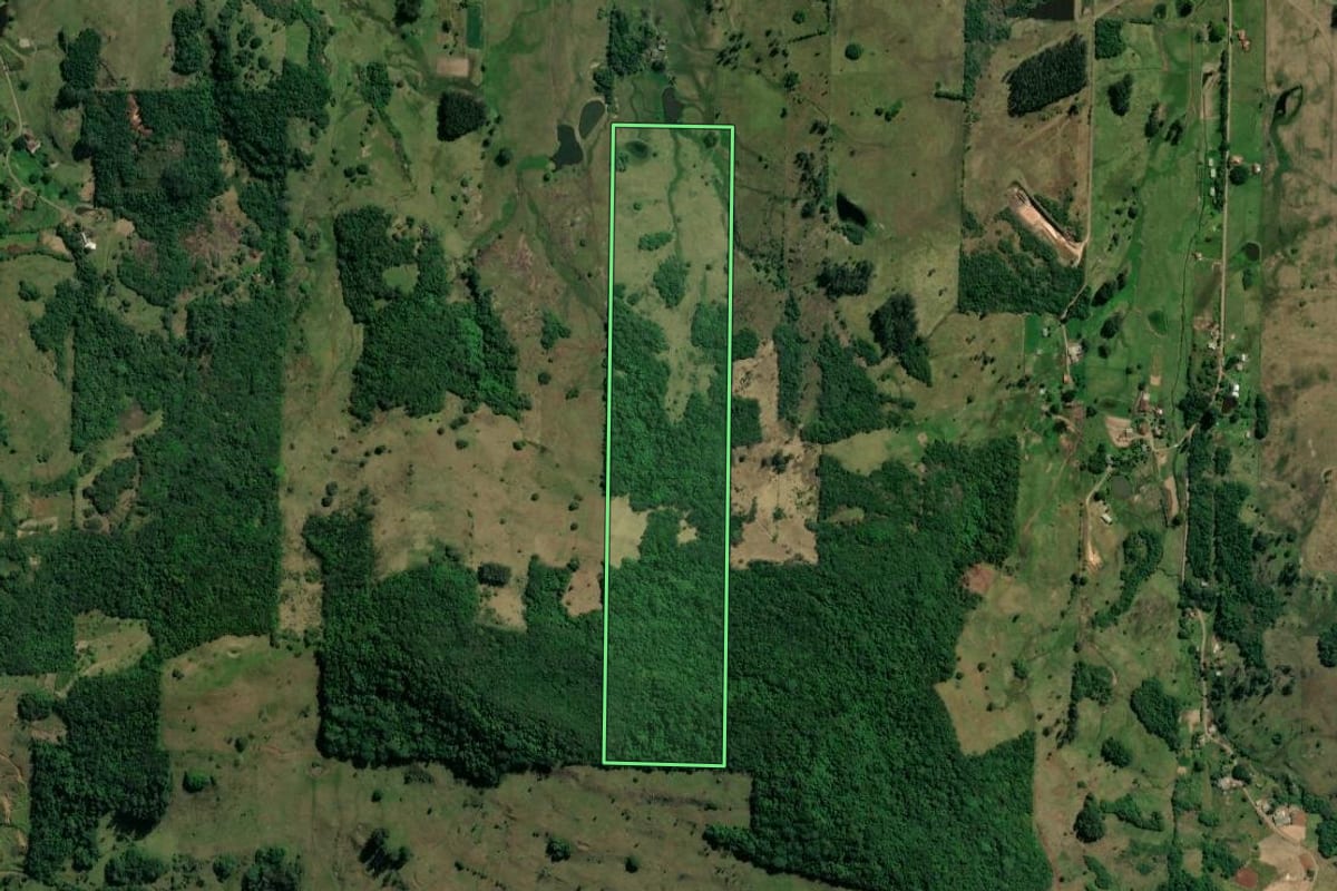 Imagem de satélite do imóvel rural em Taquara (RS), com o contorno declarado no CAR desenhado por cima.