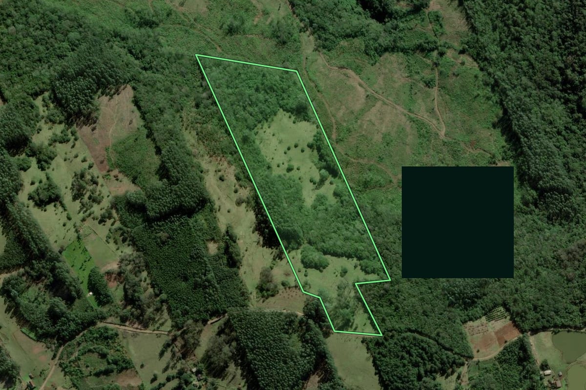 Imagem de satélite do imóvel rural em Taquara (RS), com o contorno declarado no CAR desenhado por cima.