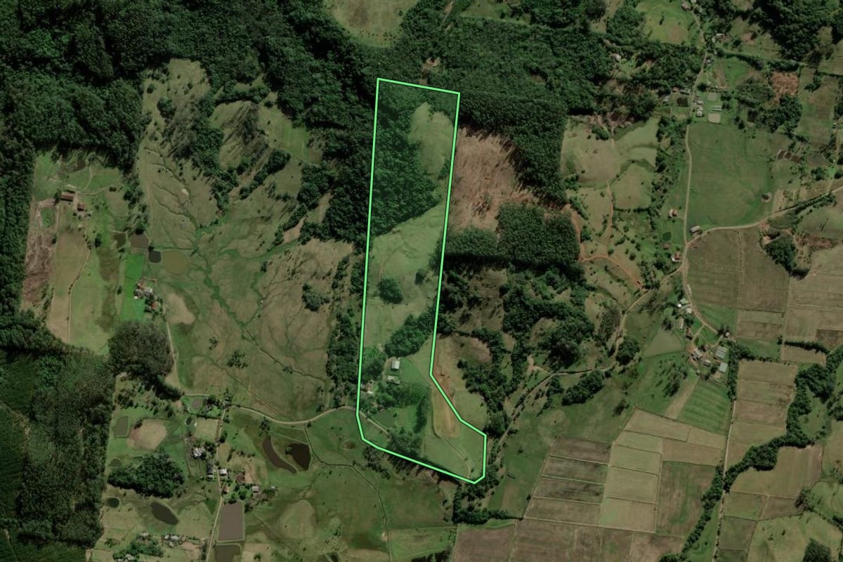 Imagem de satélite do imóvel rural em Taquara (RS), com o contorno declarado no CAR desenhado por cima.