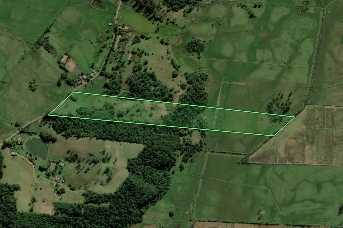 Imagem de satélite do imóvel rural em Taquara (RS), com o contorno declarado no CAR desenhado por cima.