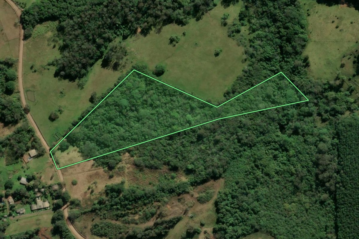 Imagem de satélite do imóvel rural em Taquara (RS), com o contorno declarado no CAR desenhado por cima.