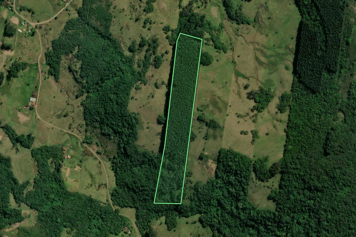 Imagem de satélite do imóvel rural em Taquara (RS), com o contorno declarado no CAR desenhado por cima.