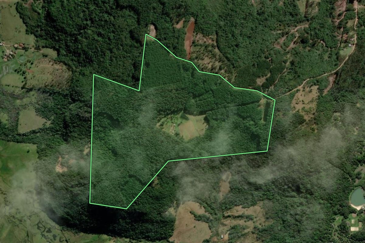 Imagem de satélite do imóvel rural em Taquara (RS), com o contorno declarado no CAR desenhado por cima.
