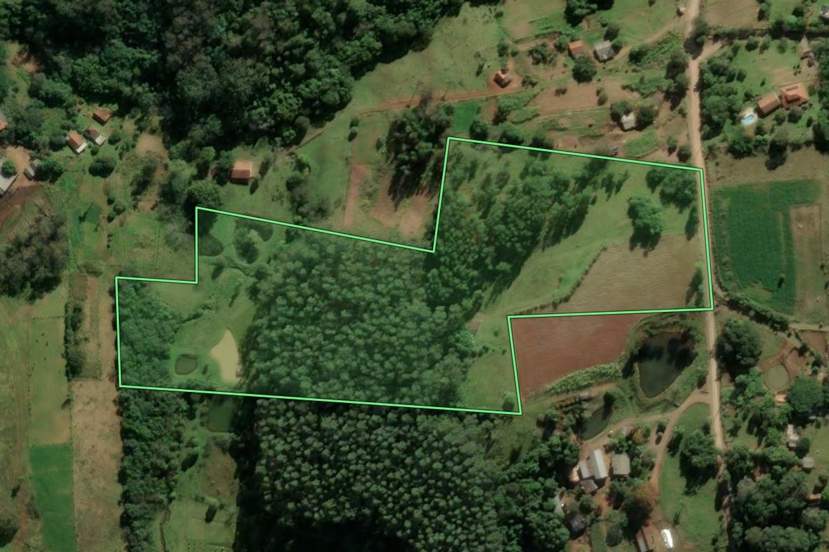 Imagem de satélite do imóvel rural em Taquara (RS), com o contorno declarado no CAR desenhado por cima.