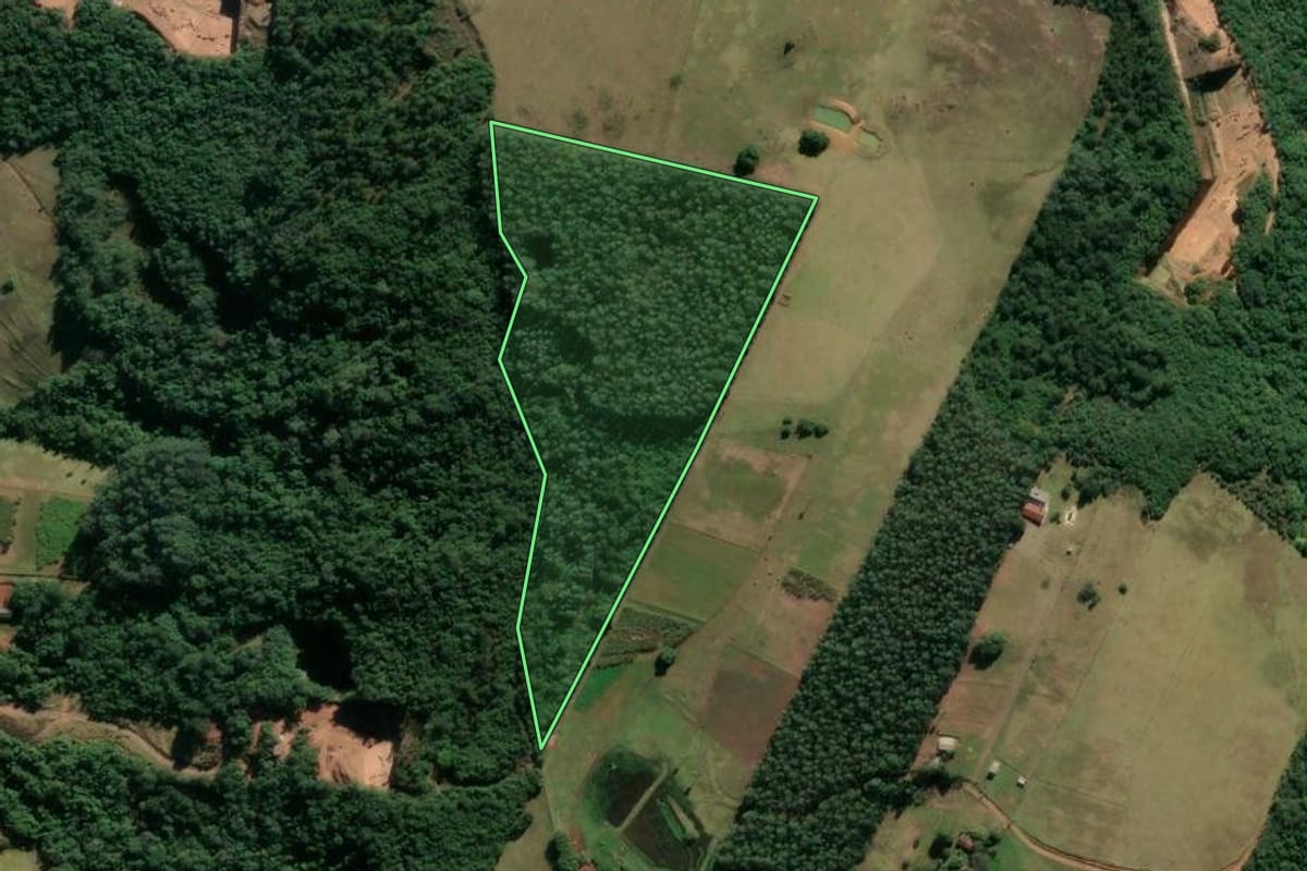 Imagem de satélite do imóvel rural em Taquara (RS), com o contorno declarado no CAR desenhado por cima.
