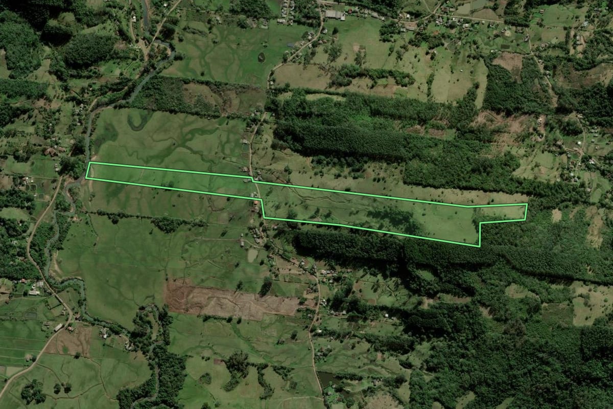 Imagem de satélite do imóvel rural em Taquara (RS), com o contorno declarado no CAR desenhado por cima.