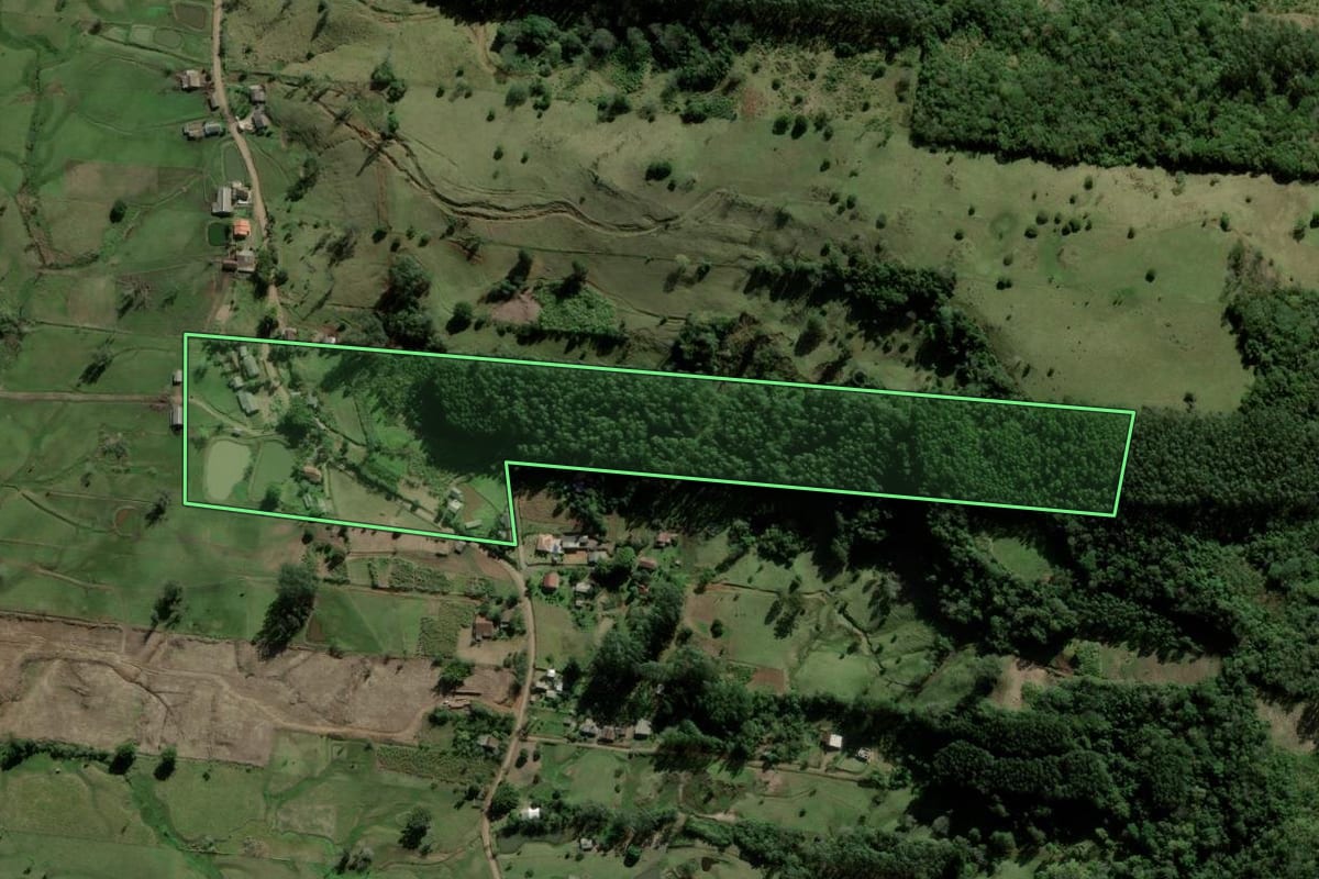Imagem de satélite do imóvel rural em Taquara (RS), com o contorno declarado no CAR desenhado por cima.