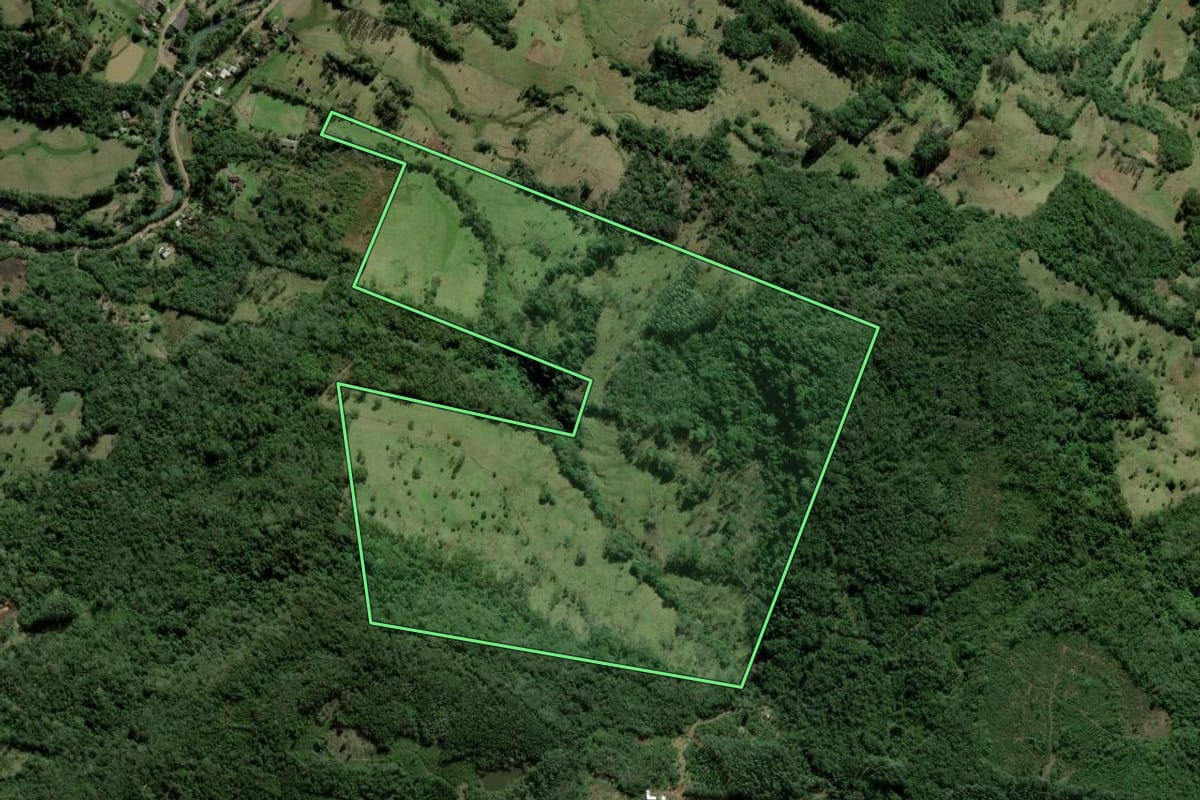 Imagem de satélite do imóvel rural em Taquara (RS), com o contorno declarado no CAR desenhado por cima.