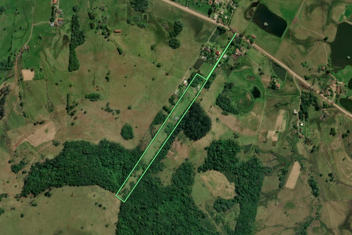Imagem de satélite do imóvel rural em Taquara (RS), com o contorno declarado no CAR desenhado por cima.