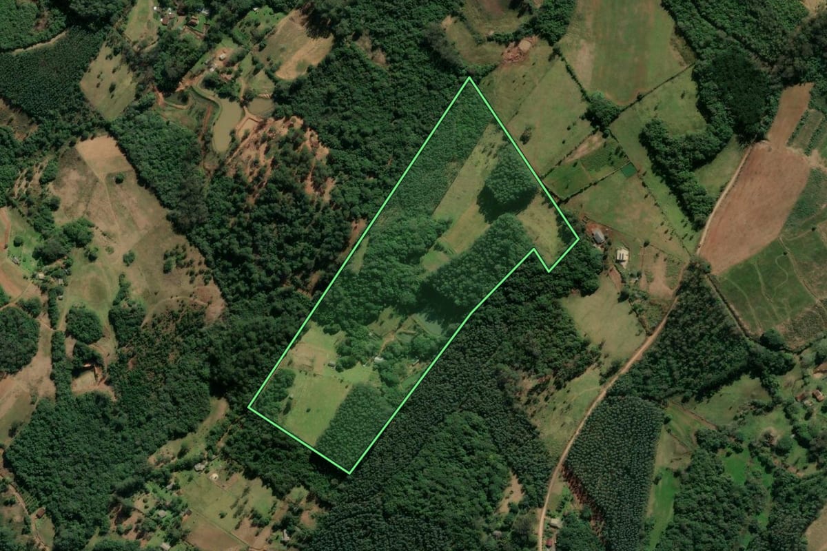 Imagem de satélite do imóvel rural em Taquara (RS), com o contorno declarado no CAR desenhado por cima.