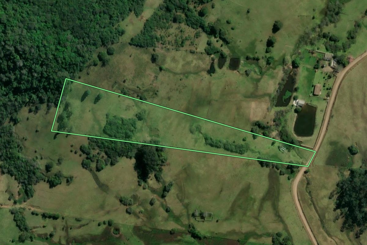 Imagem de satélite do imóvel rural em Taquara (RS), com o contorno declarado no CAR desenhado por cima.