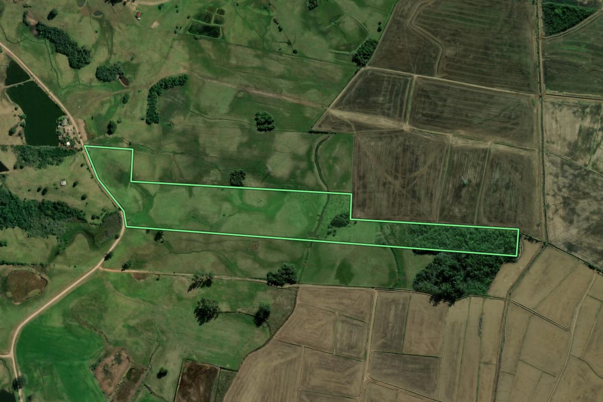 Imagem de satélite do imóvel rural em Taquara (RS), com o contorno declarado no CAR desenhado por cima.