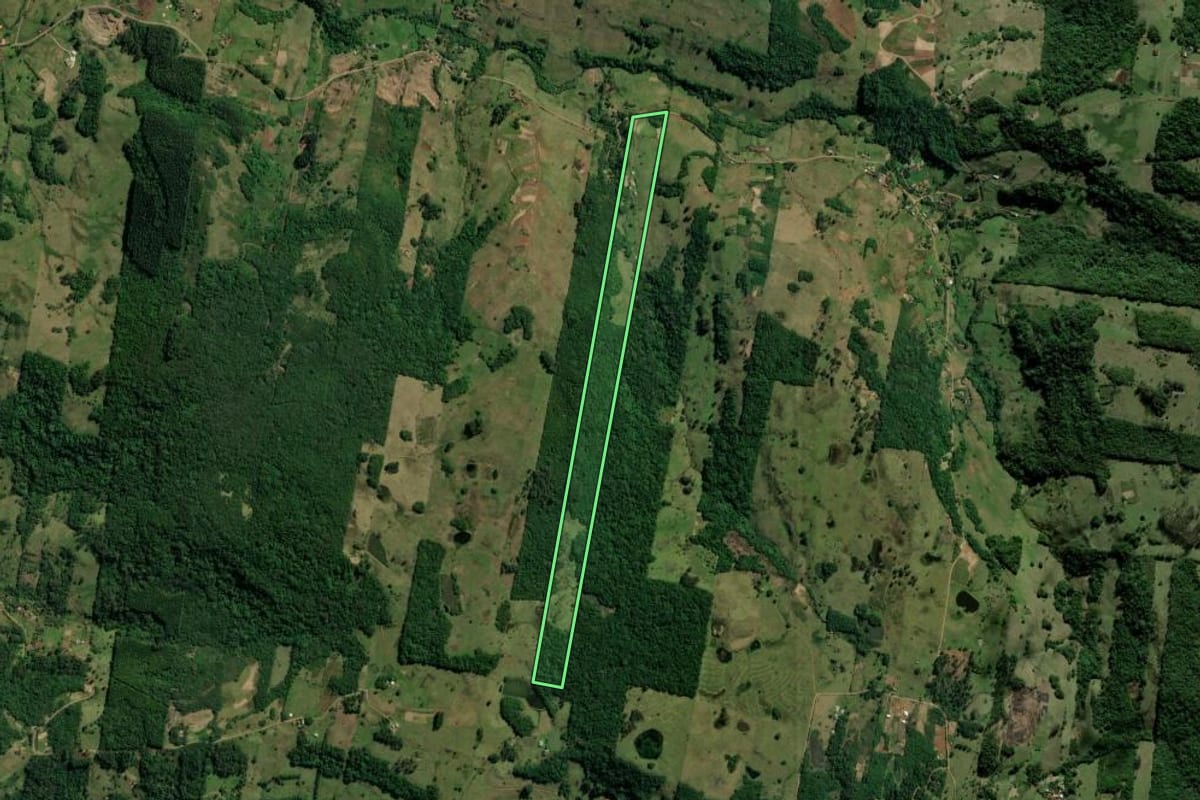 Imagem de satélite do imóvel rural em Taquara (RS), com o contorno declarado no CAR desenhado por cima.