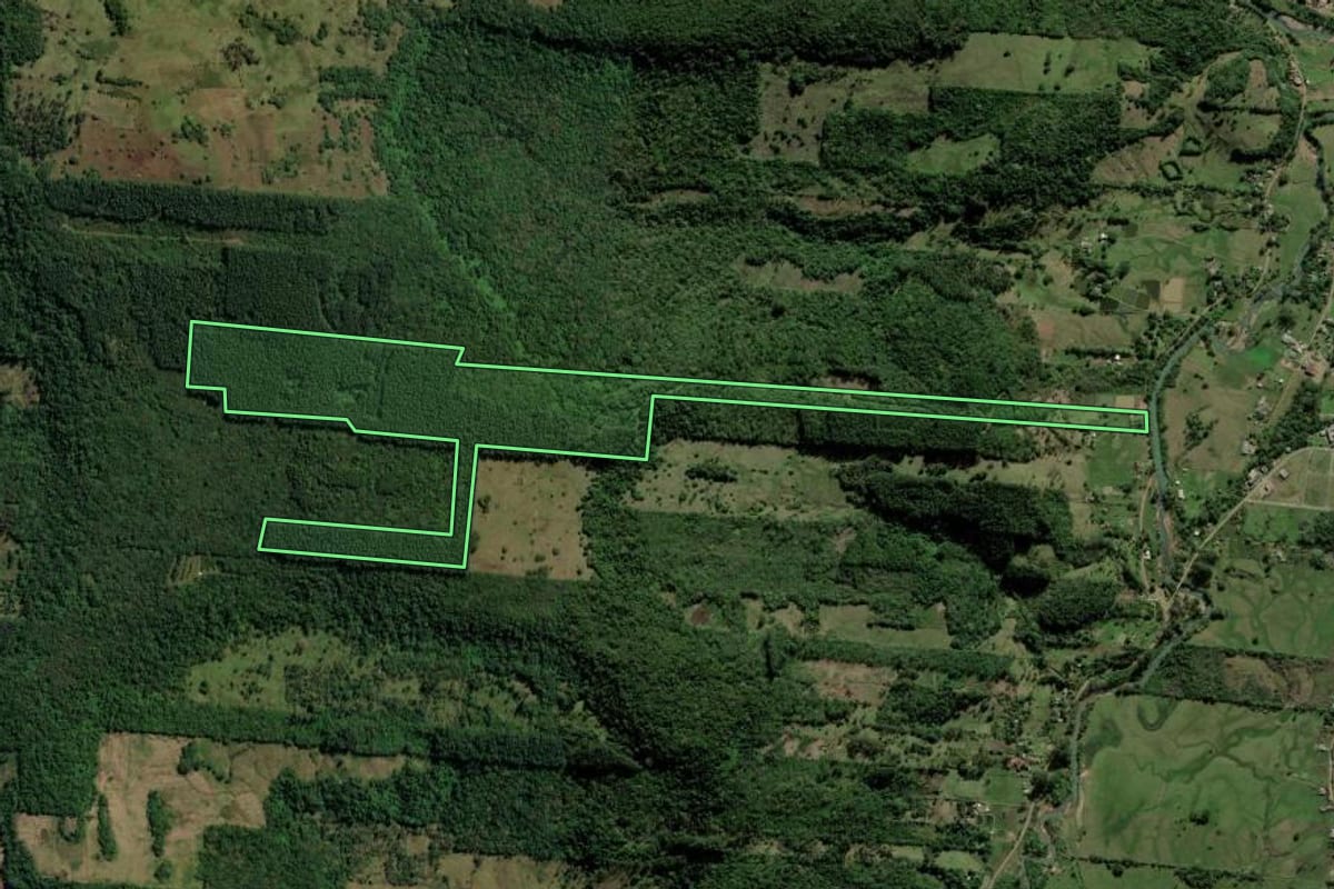 Imagem de satélite do imóvel rural em Taquara (RS), com o contorno declarado no CAR desenhado por cima.