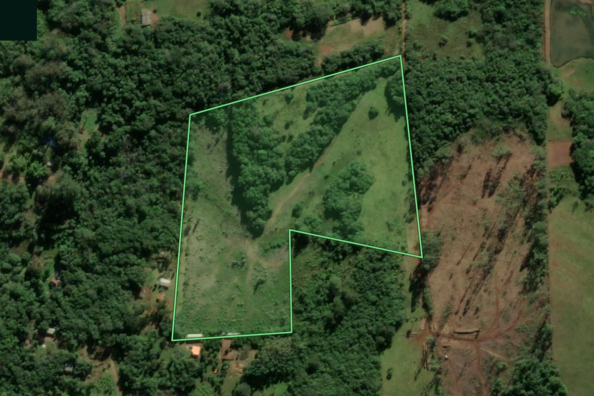 Imagem de satélite do imóvel rural em Taquara (RS), com o contorno declarado no CAR desenhado por cima.