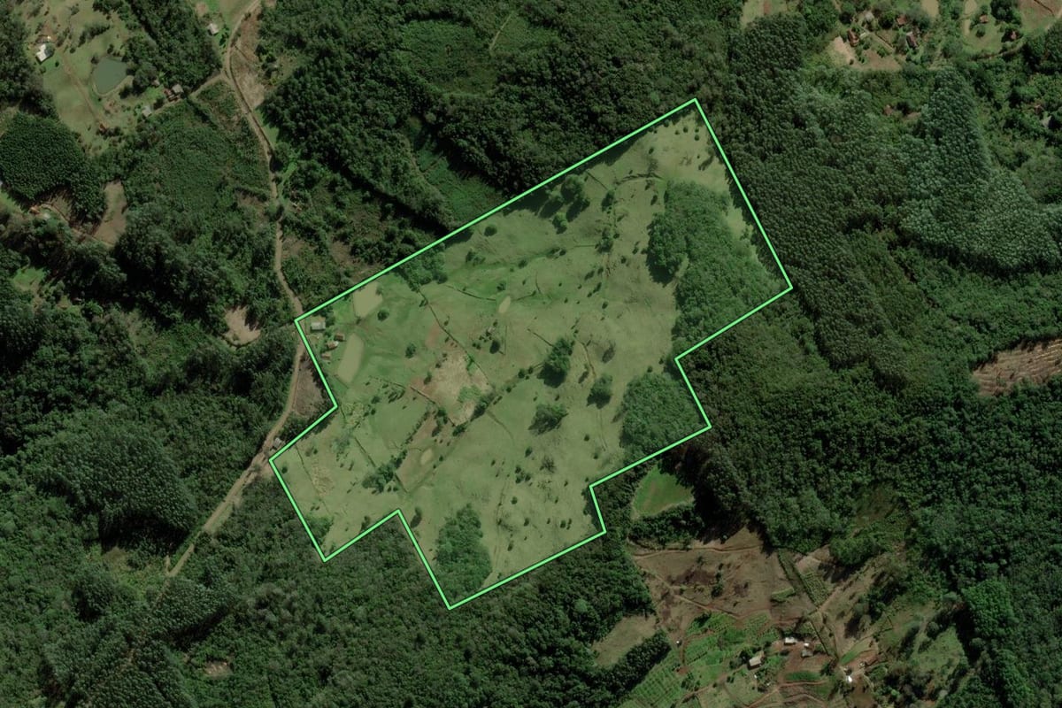 Imagem de satélite do imóvel rural em Taquara (RS), com o contorno declarado no CAR desenhado por cima.